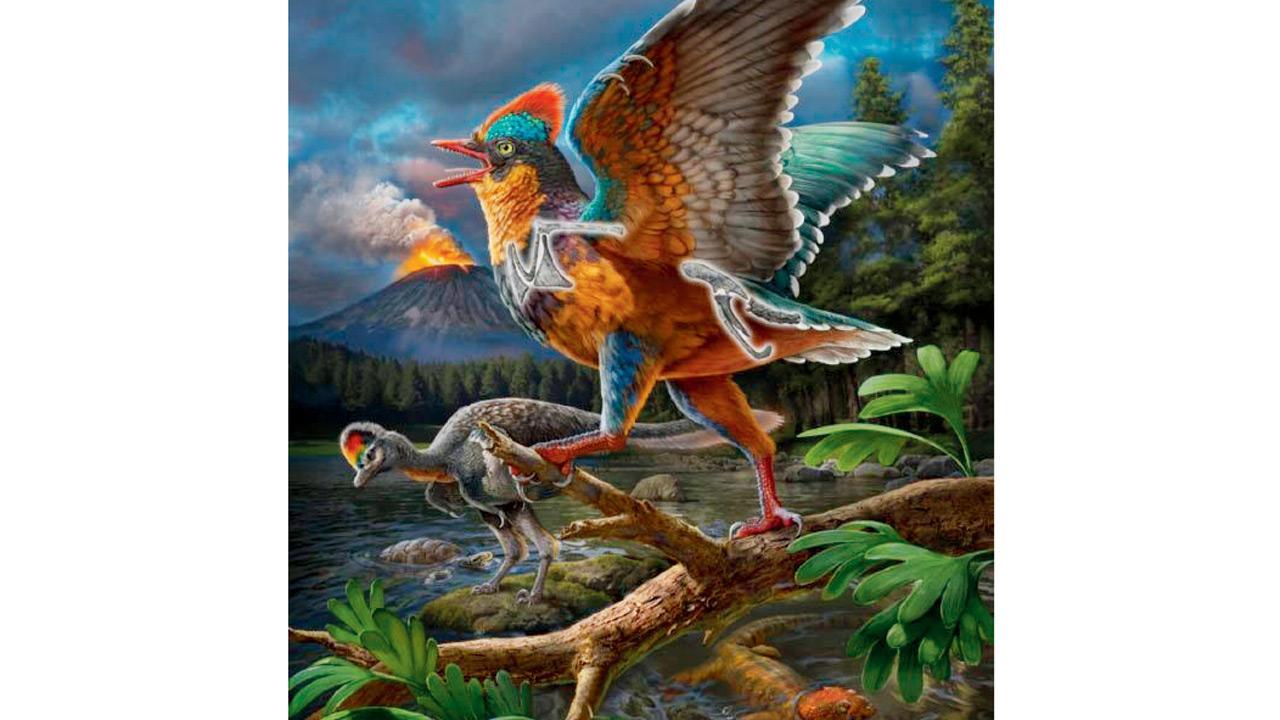 Oldest Jurassic fossil discovery sheds new light on bird origins