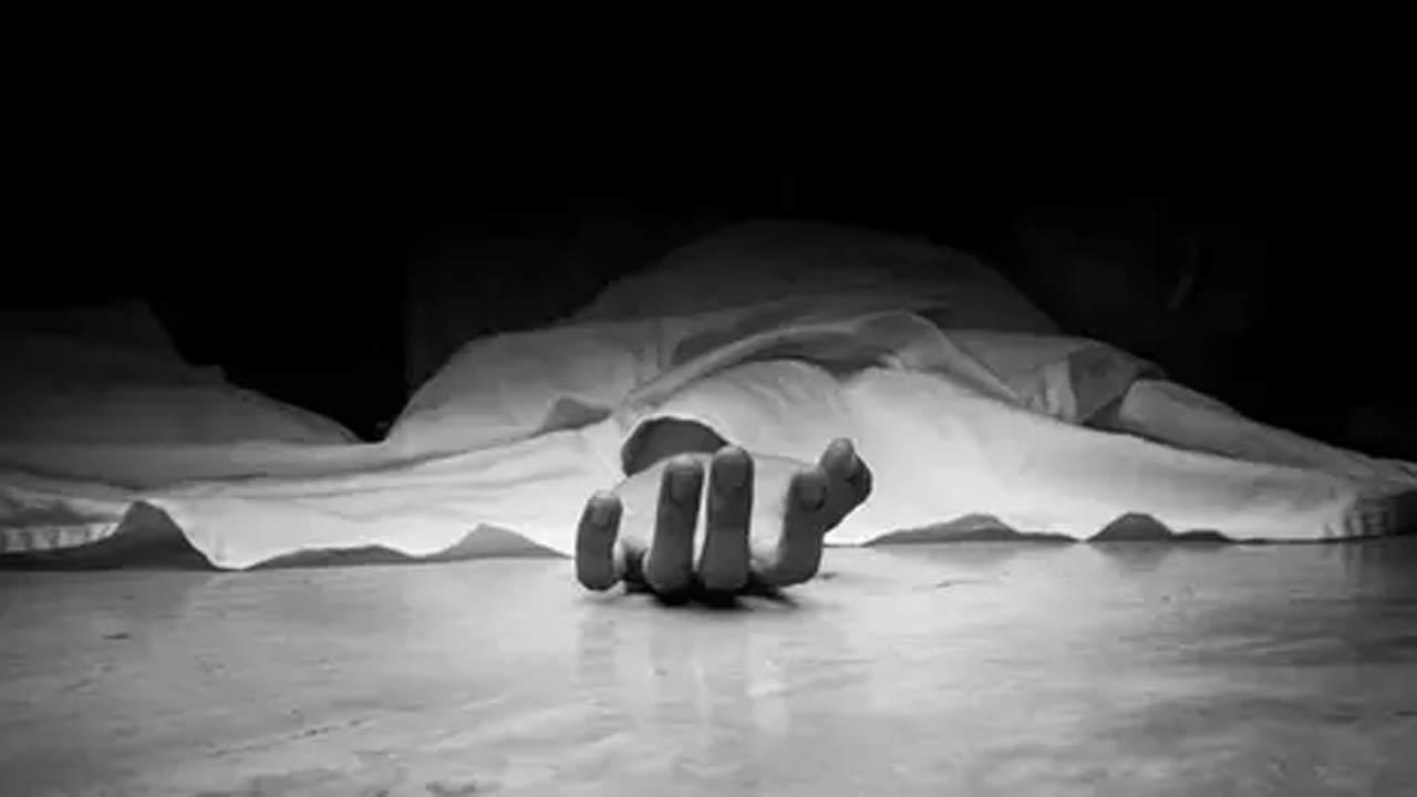 Couple returning from Maha Kumbh killed in car-truck collision