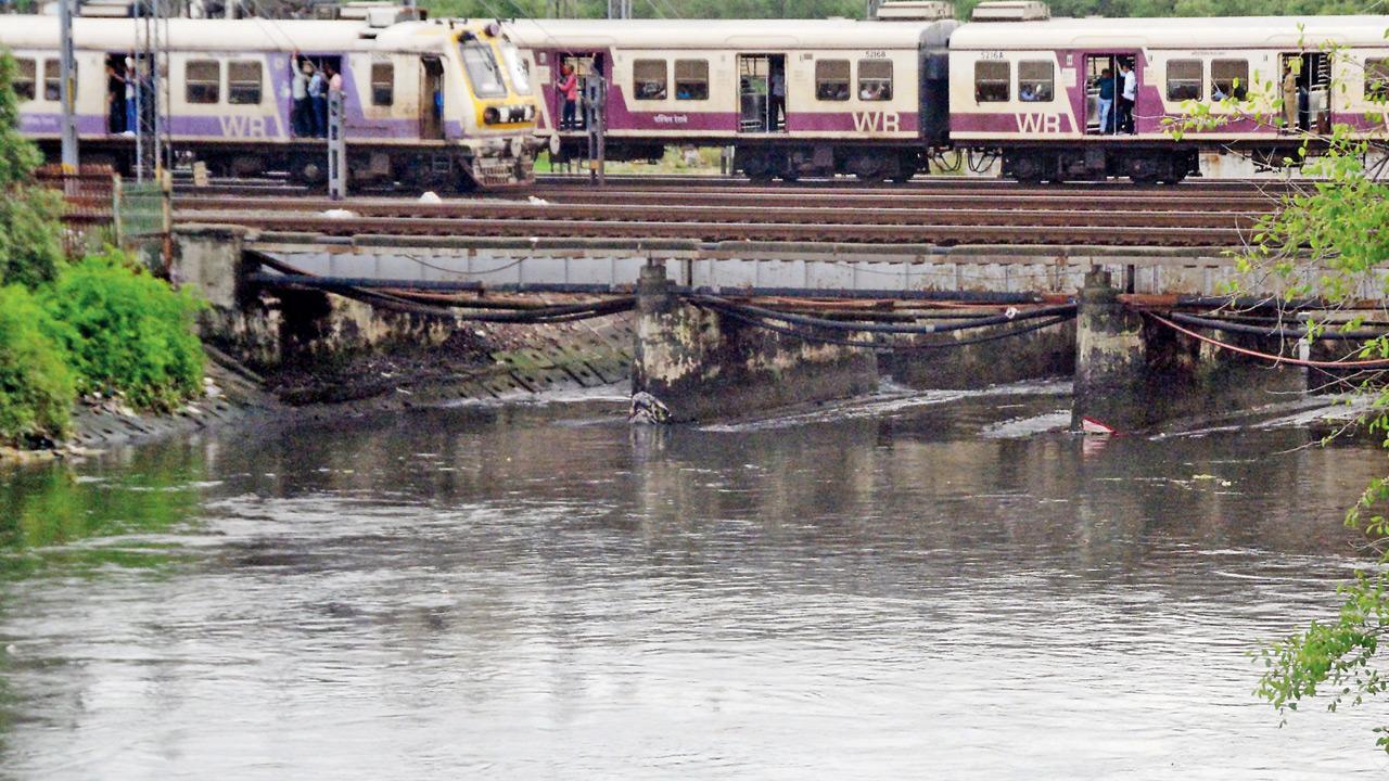 Mumbai: BMC invites tenders for 3rd phase of Mithi river revamp; seeks to stop untreated sewage entry and flooding
