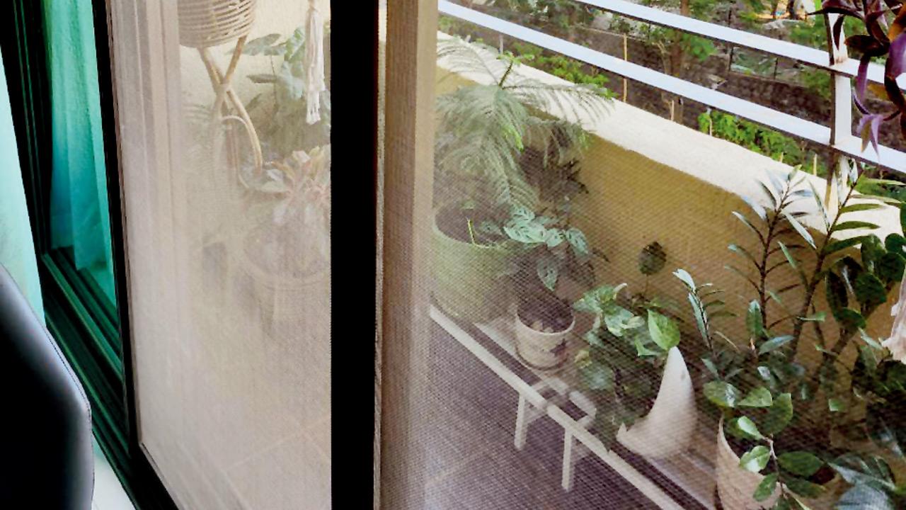 Residents of the high-rise society use mosquito nets on their windows