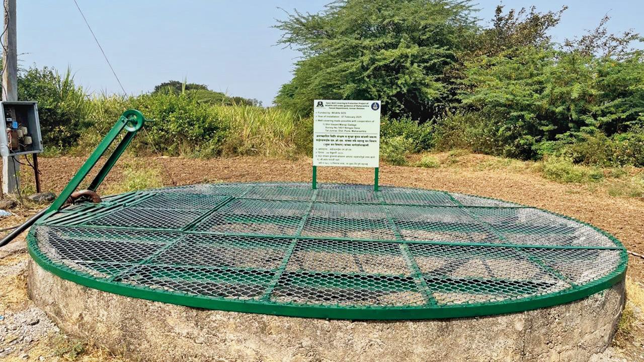 Maharashtra: Efforts to secure open wells reduce leopard falls in Junnar