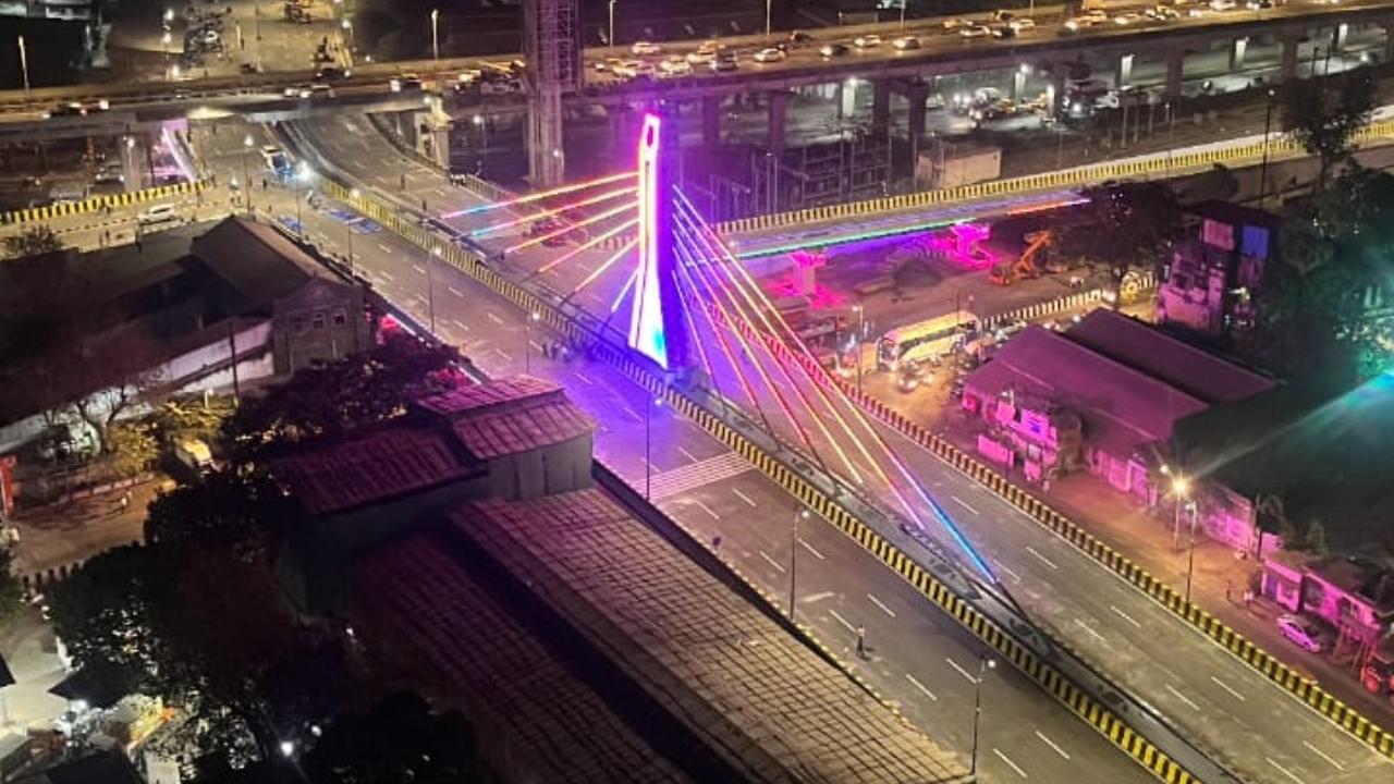 There are six pairs of cables on the cable-stayed span