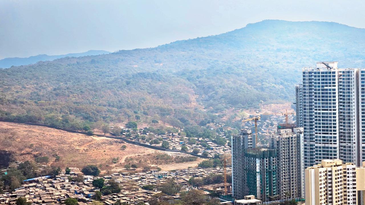 SGNP crackdown: 5000 squatters served eviction notices