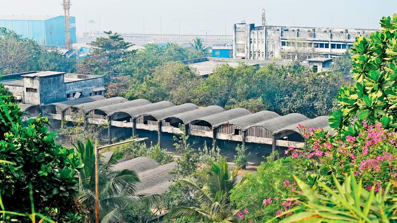 Mumbai: ‘Scrapped Aarey machinery could be turned into art installation’