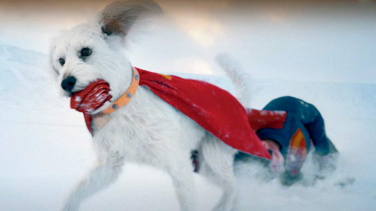 A moment featuring Krypto, the superdog in the trailer