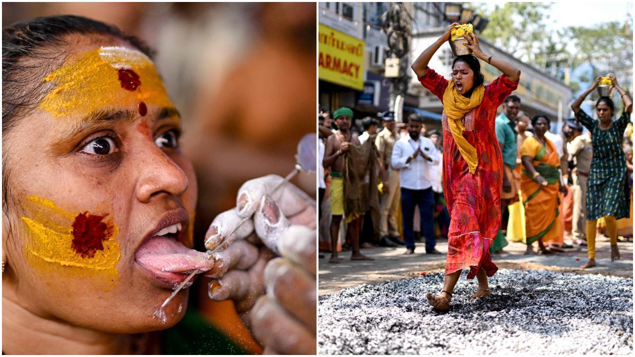 The festival of Thaipoosam marked by worship of Lord Muruga was celebrated on Tuesday by people with grandeur and religious fervour across Tamil Nadu and they thronged shrines and offered prayers. Photos Courtesy: AFP/PTI