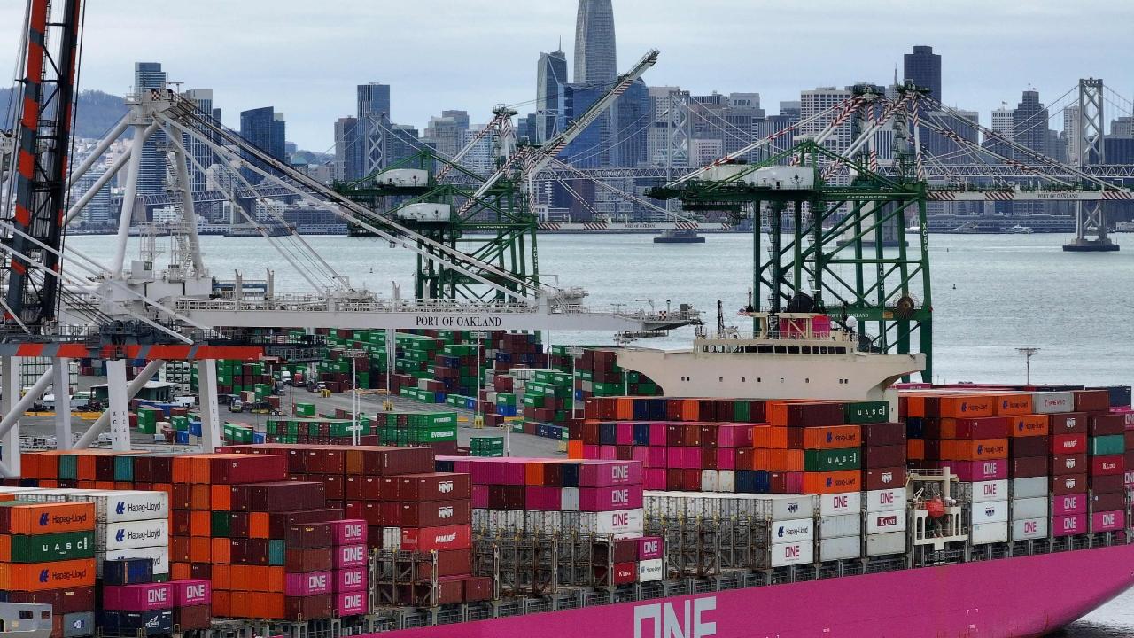 Musk's Department of Government Efficiency has been given broad latitude to investigate the federal government