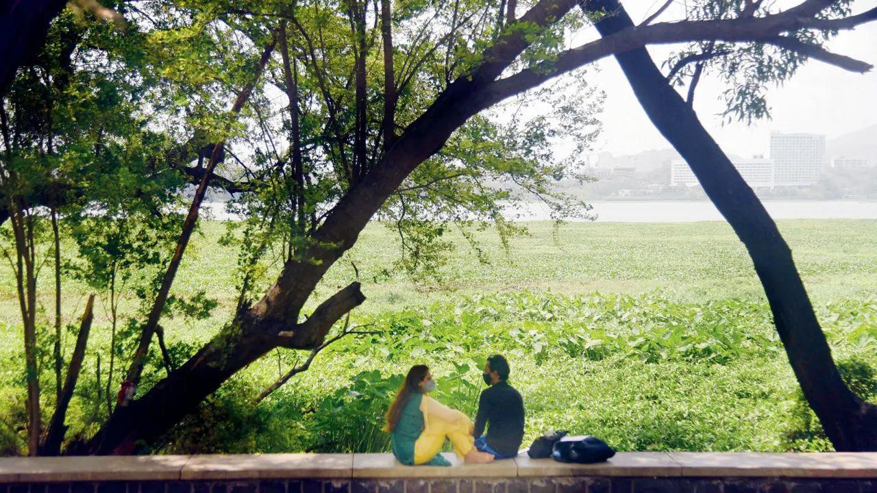 Powai Lake
A peaceful, dreamy location where lovebirds can sit by the waters, talk for hours, and enjoy the scenic beauty of this artificial lake. (File pic)