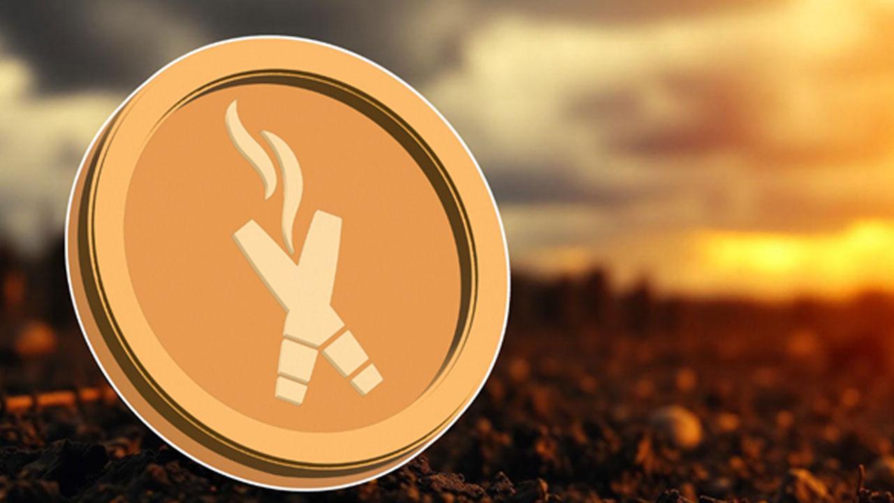 Trump Coin Struggling to Regain USD 17.90 - Is DexBoss Set to Lead the Next Crypto Bull Run?