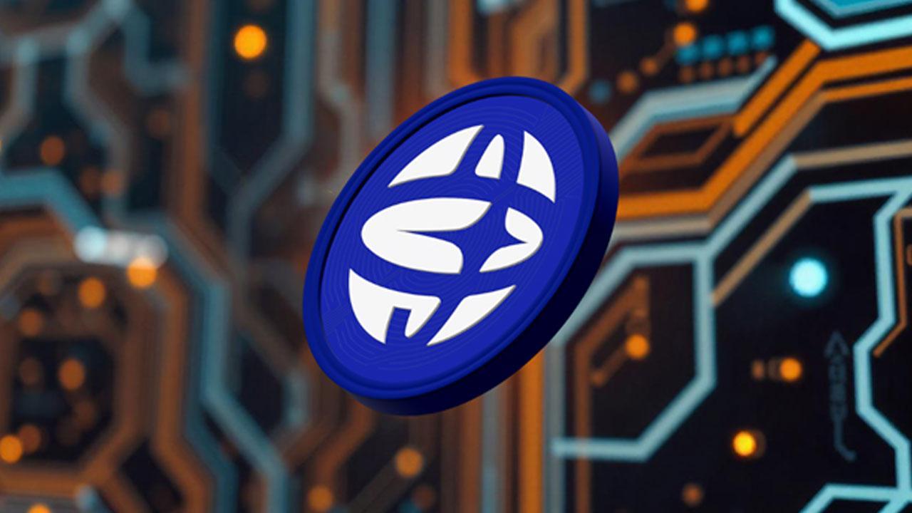 Crypto Whales Are Loading Up! 7 Best Crypto to Buy Now Before the Next Bull Run