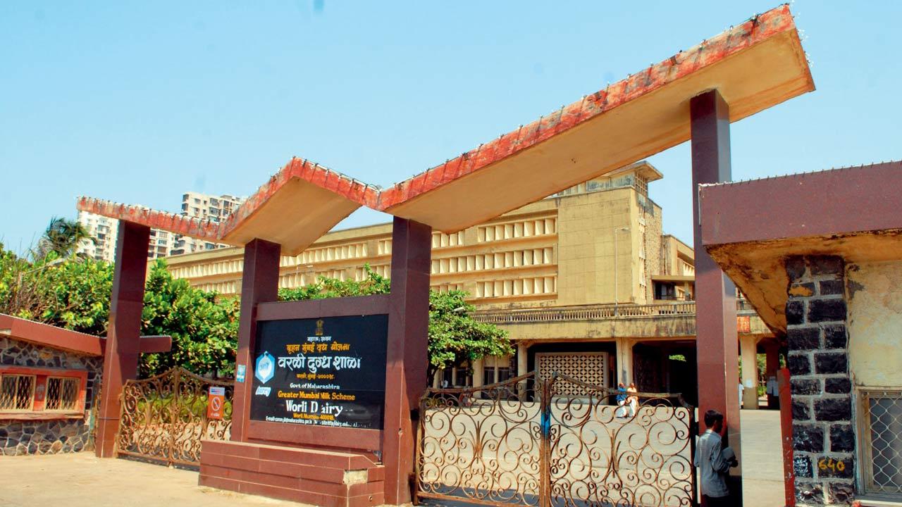 The unit of Aarey dairy, as it was fifteen years ago, opposite Worli Sea Face. File pics/Rane Ashish