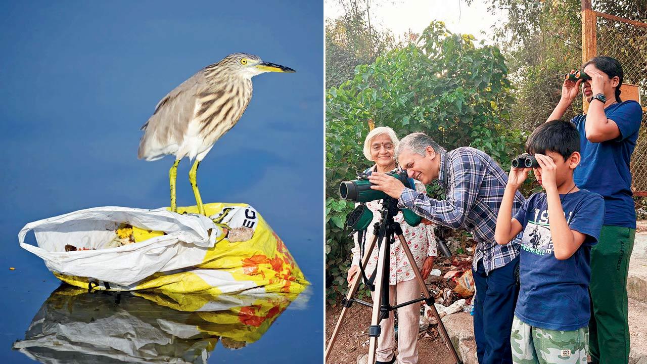(From left) A pond heron stands on a plastic bag in a wetland; participants observe through binoculars at a birding session. Pics Courtesy/Sunjoy Monga
