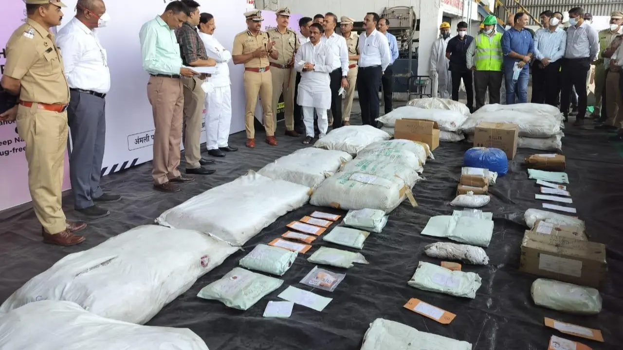 During the destruction of the drugs senior officials present to oversee the process, an official said