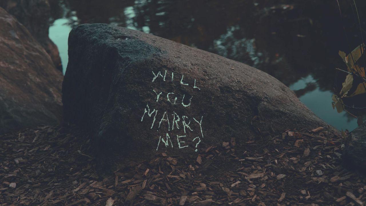 Outdoor proposal
After a little walk to see the sunset, nothing compares to a well-crafted proposal in a picturesque outdoor setting
