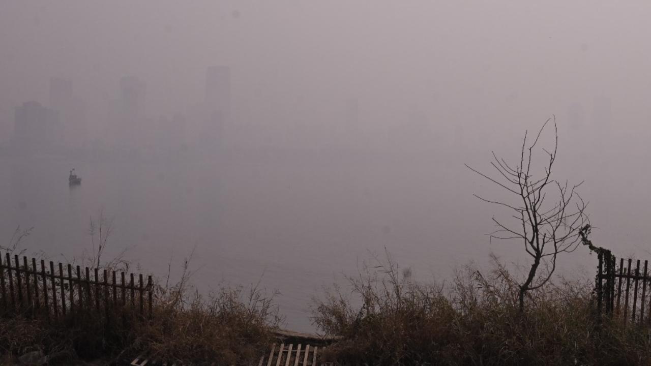 Deonar, Malad and Mazgaon reported 'poor' air quality, with an AQI of 259, 274 and 201, respectively
