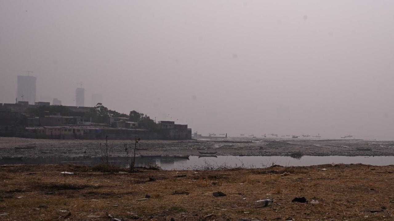 As per the SAMEER app dashboard, Bandra Kurla Complex (BKC) recorded 'moderate' air quality with an AQI of 182