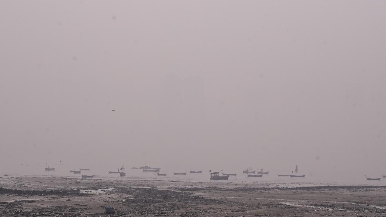 On February 8, the Central Pollution Control Board’s SAMEER app reported that the city’s air quality remained in the 'moderate' category. Pics/Ashish Raje