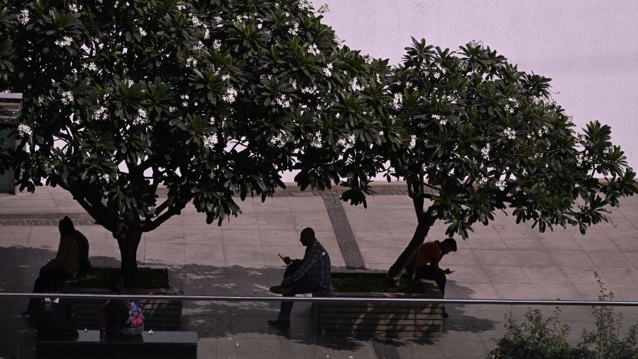 As temperatures continue to climb, Mumbaikars face an unusually warm February, making daily commutes more exhausting