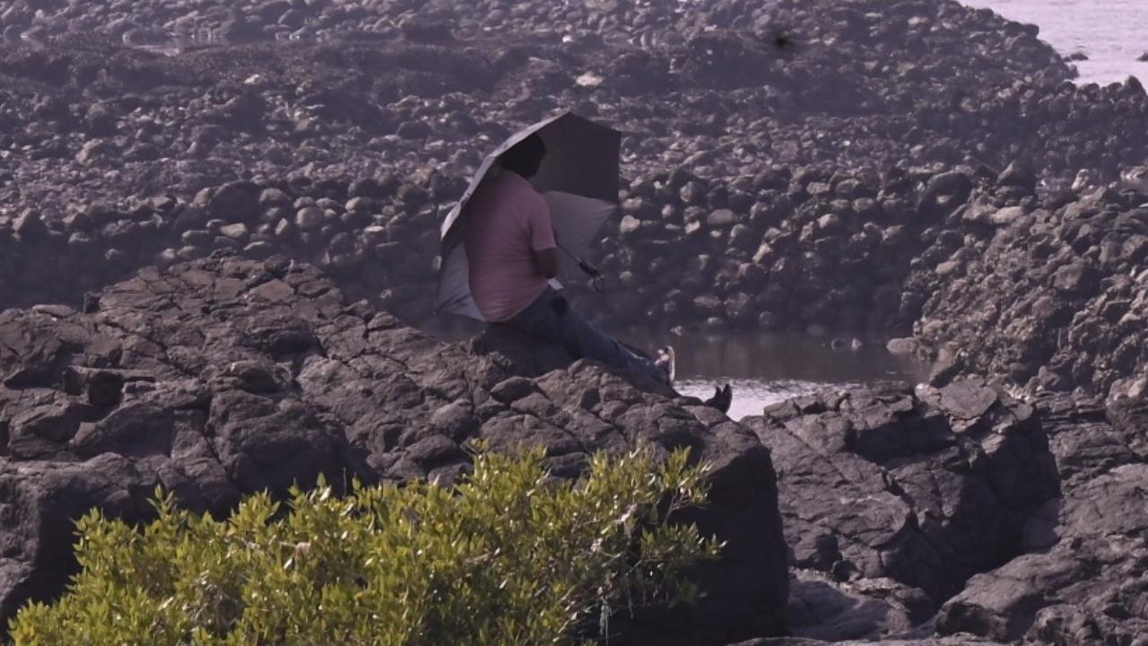 Mumbai faces unusual heatwave, 'yellow' alert issued by IMD