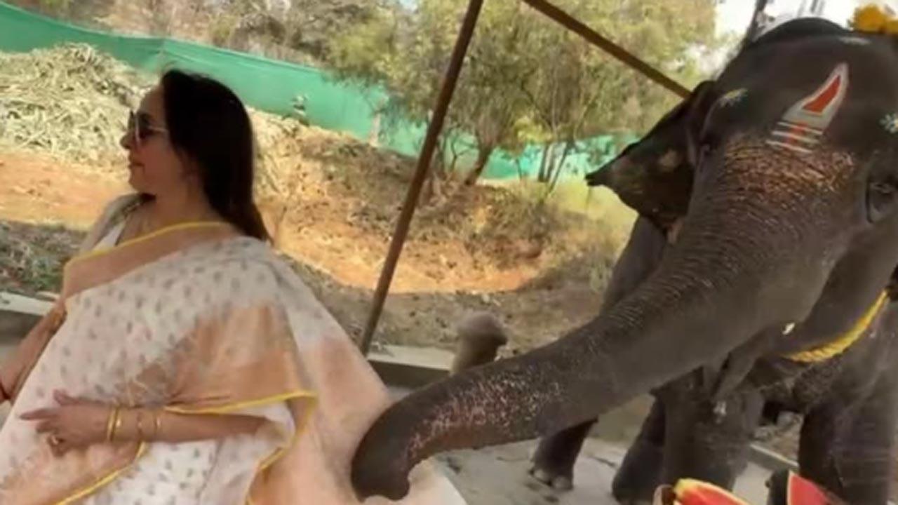 Hema Malini enjoys an adorable encounter with a baby elephant named Indrani