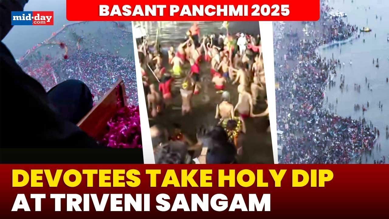 Basant Panchami 2025: Devotees flock to Prayagraj for Amrit Snan - Watch video