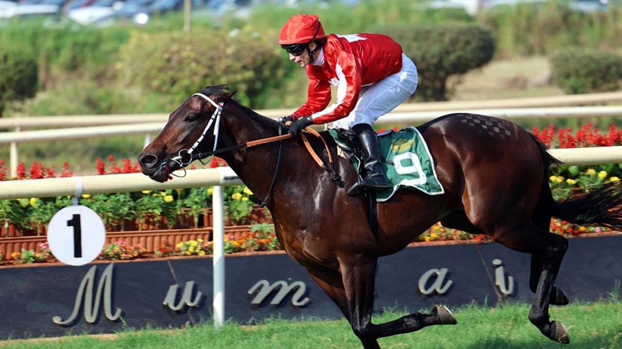 All eyes on Prokofiev in Poonawalla Breeders' Multi-Million