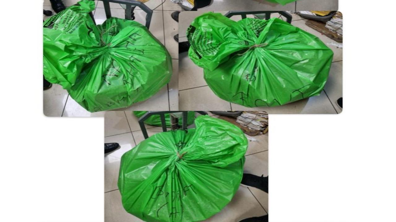 5 passengers arrested at Mumbai airport for smuggling Rs 56-cr hydroponic weed  