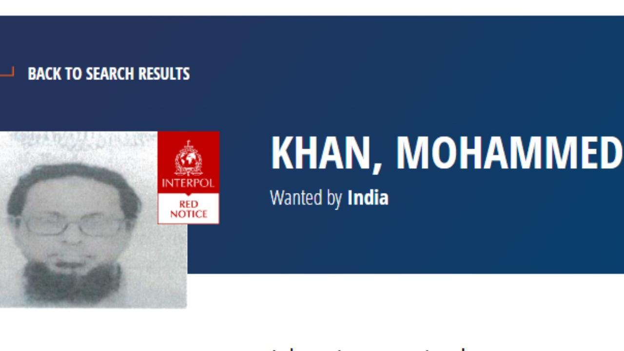 Maharashtra ISIS module case: Interpol issues Red Corner Notice against Mohammad Shoeb Khan