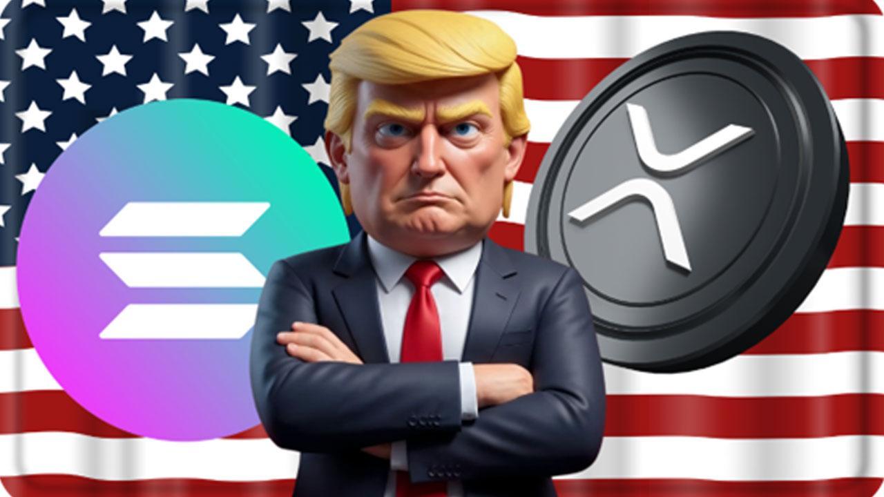 From XRP to SOLANA: Could OFFICIAL MAGACOIN Be the Next 50,000 percent Gainer?