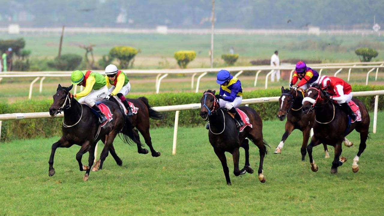 Golden Kingdom for Homi Mody Trophy