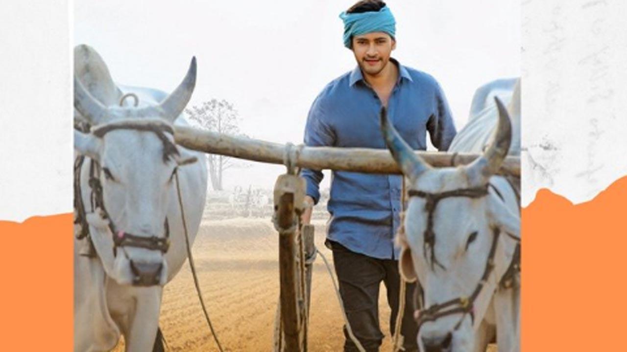 'A cinematic masterpiece’: National-award winning editor praises Mahesh Babu’s ‘Maharishi’