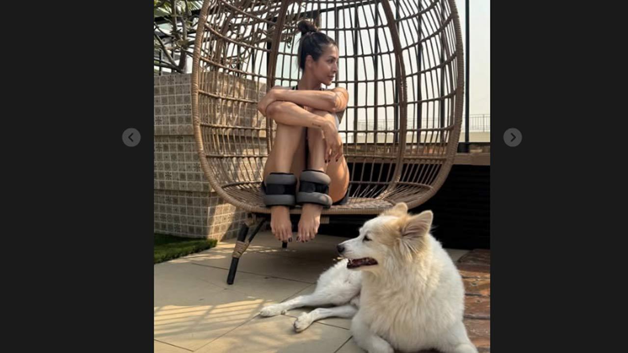 Malaika Arora starts her day with yoga, sunshine and her furry friend