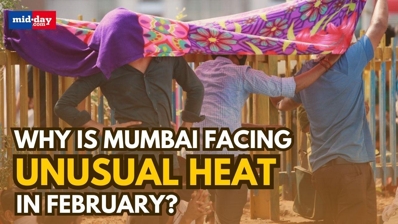 Mumbai weather: Why is Mumbai experiencing a rise in temperature in Feb?