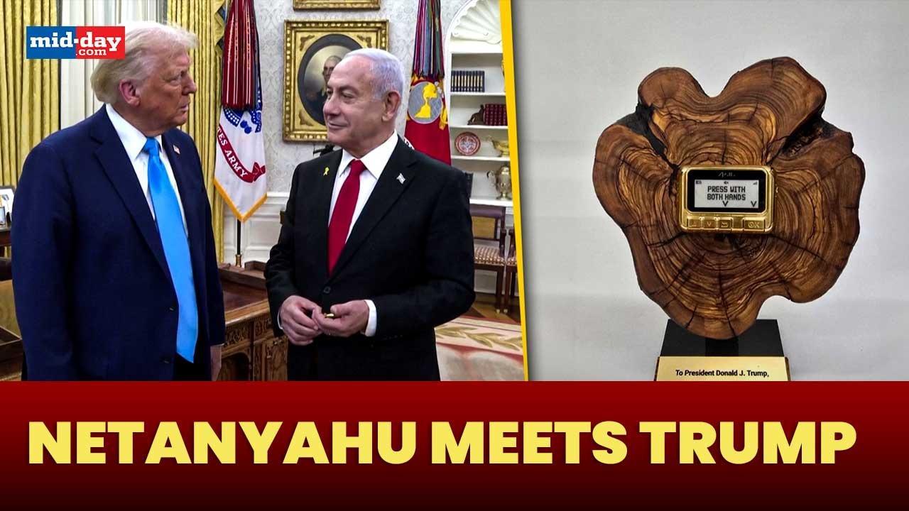 United States: Trump-Netanyahu ‘friendship’ takes centre stage as leaders meet 