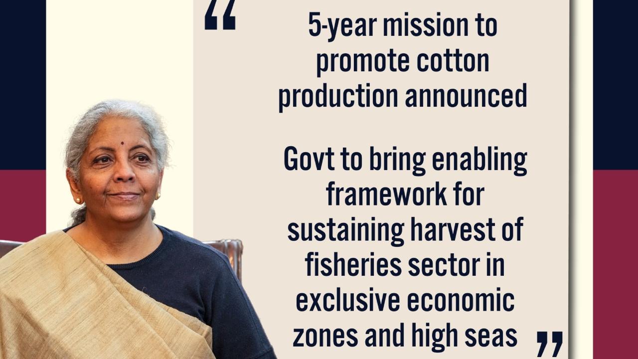 Sitharaman announced five-year cotton mission to work on improving productivity and promoting extra-long staple cotton varieties, supporting India's integrated 5F vision for the textile sector
