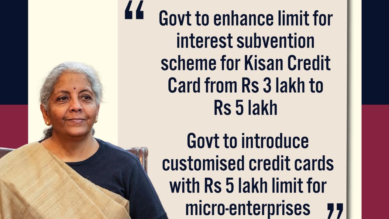 Customised credit cards with Rs 5 lakh limit for micro-enterprises registered on Udyam portal, 10 lakh cards to be issued in 1st year