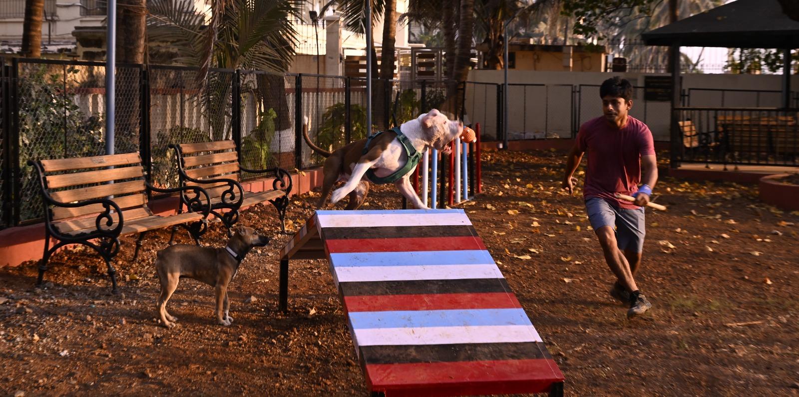 The park, located at Juhu Chowpatty near Novotel Hotel, has been transformed into a safe and engaging space for pets and pet owners.