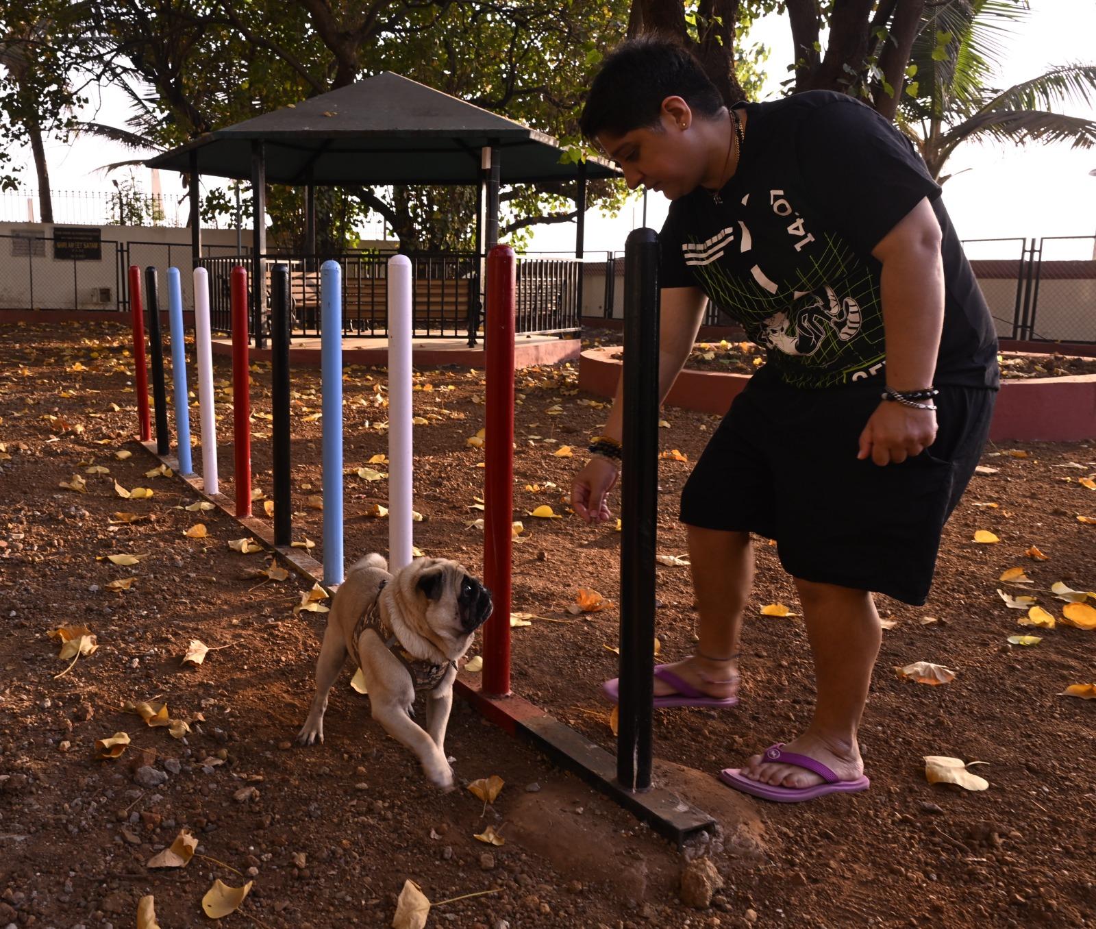 The Juhu Pet Park, Mumbai's first beach-facing pet park, is managed jointly by local residents and the BMC, ensuring its day-to-day running.