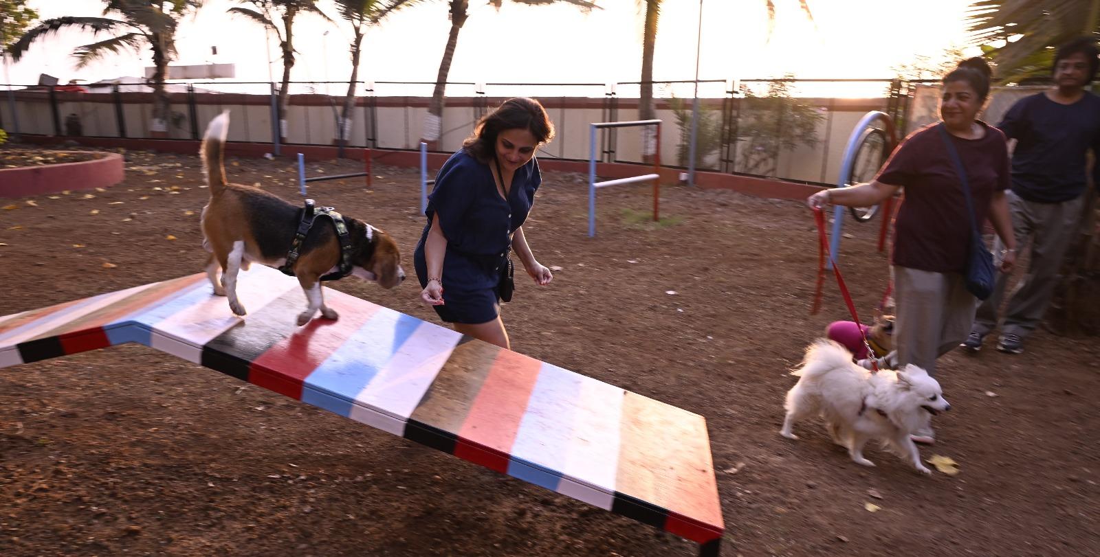 Plans are underway to introduce additional amenities such as ramp shows, vaccination camps, and a fridge for stray dog food in the park.
