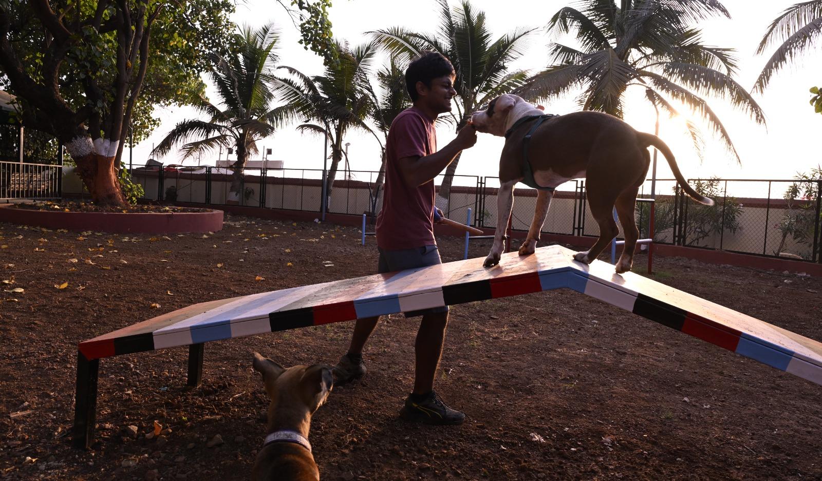 Local MLA Ameet Satam, a strong advocate for the initiative, emphasised how the park’s creation has transformed an area once used as a dumping ground into a safe space for pets to socialise and play.