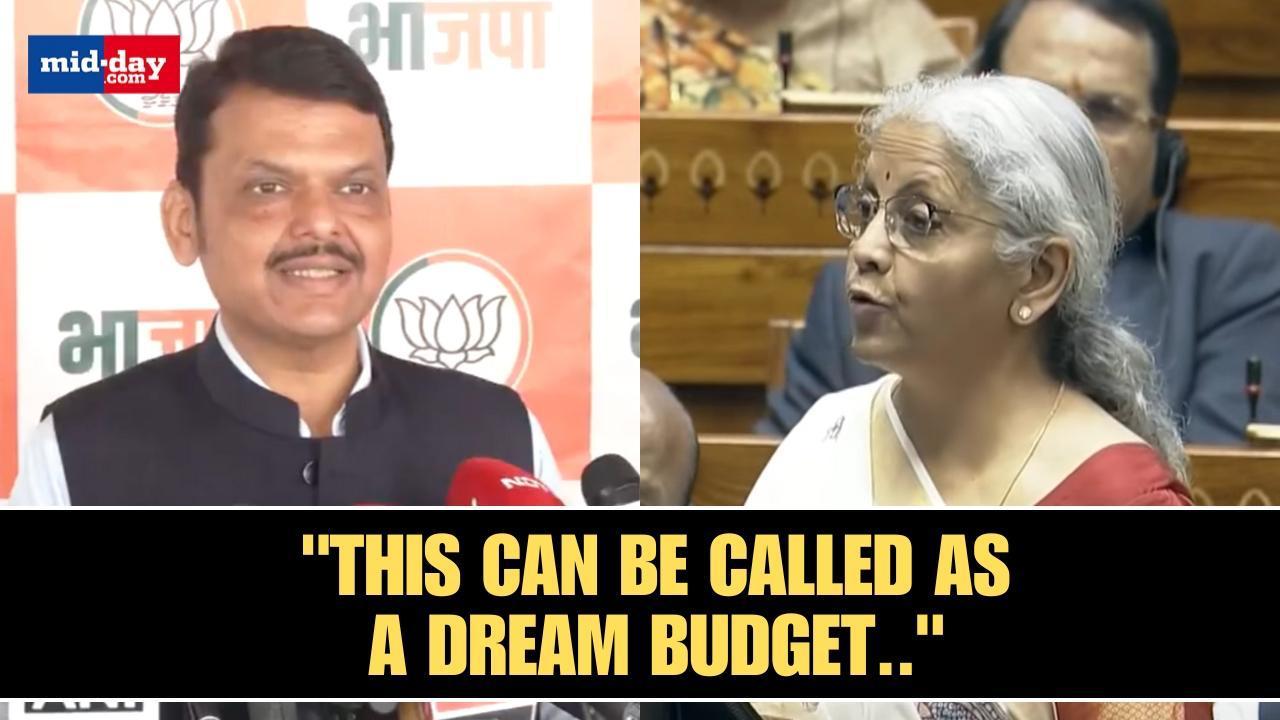 Budget 2025: CM Fadnavis praises the new Budget