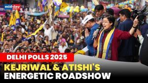 Delhi polls: Kejriwal & Atishi lead vibrant roadshow in Kalka Ji Constituency