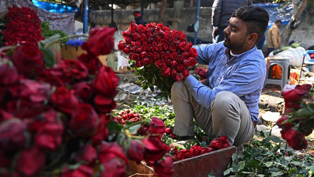 A flower vendor holds a bunch of roses at a wholesale flower market on the eve of the Valentine's Day in New Delhi