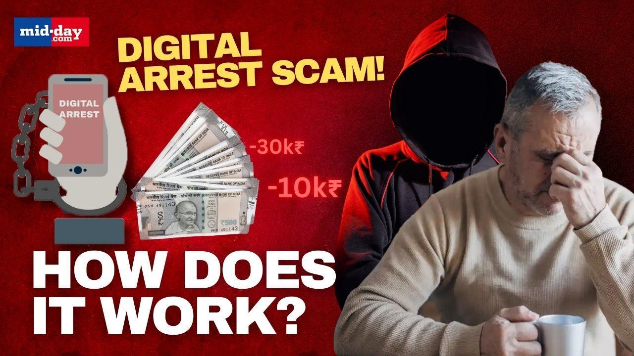 Digital arrest scam: How does this scam work & how to stay safe? Watch video