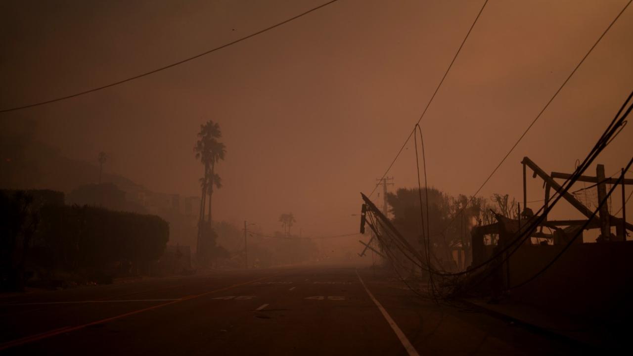Although wildfire activity can vary greatly from year to year, short-term extreme weather conditions helped create the 