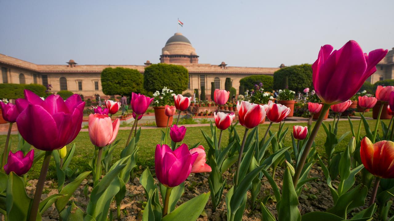 Visitors will pass through the bal vatika, plumeria theme garden, bonsai garden, central lawn, long garden and circular garden with dedicated QR codes to get information on different elements on display, the note said.