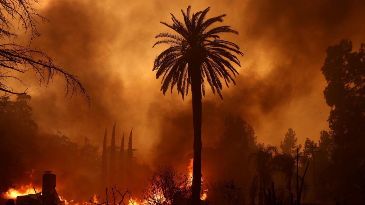 While it's not yet known what started the blazes, 
