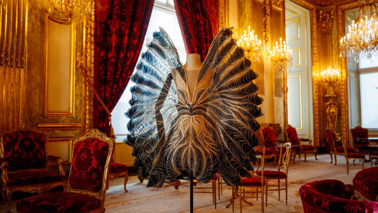 A dress created by Dutch fashion designer Iris van Herpen from the Haute Couture 2018-2019 collection