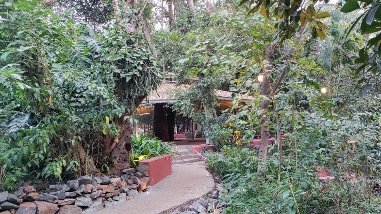 The 1.2 acre park is an enjoyable walk that can be taken up by anybody from February 1. Interestingly, along the way, people can learn a lot about the different species of native plants as a part of the living heritage aspect of The Heritage Project by Radha Goenka.
