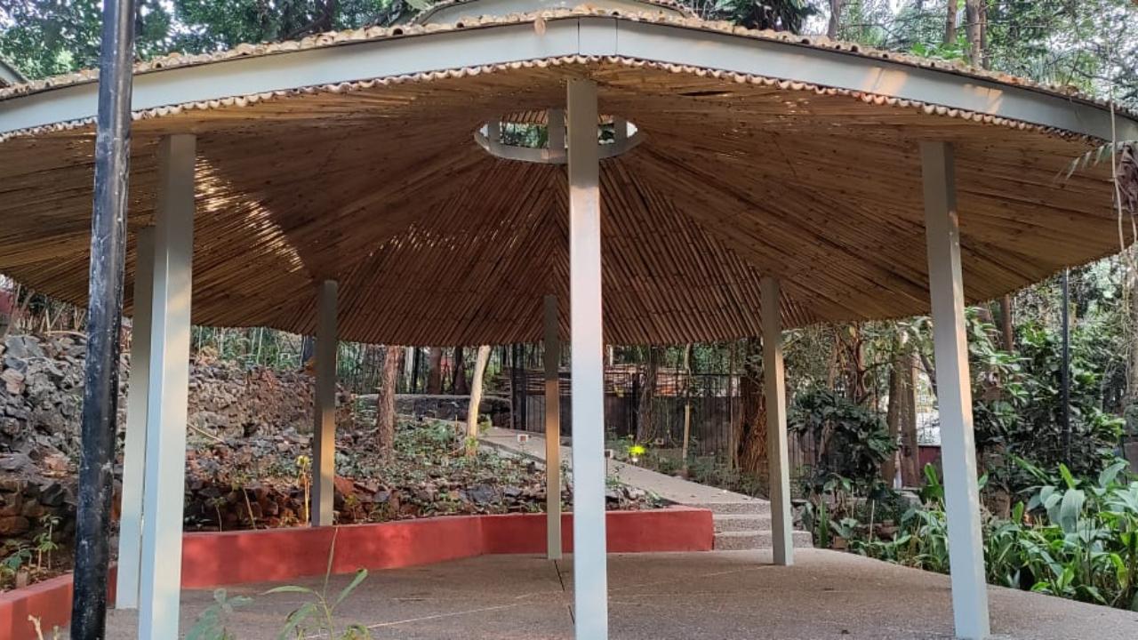While the biodiversity park boasts of many plants and trees, it also has demarcated pathways that people can walk on. There are also two gazebos for people to rest under.
In the future, the park intends to have a reading space for local children.